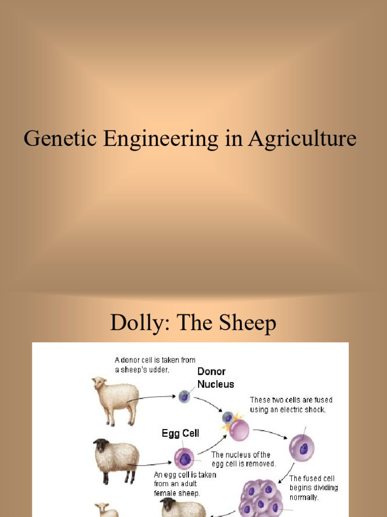 1. Genetic Engineering in Agriculture | PDF | Life Sciences | Molecular ...