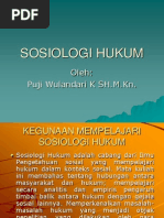 Download Sosiologi Hukum 1 by Arif Dwi AtMoko SN100799502 doc pdf