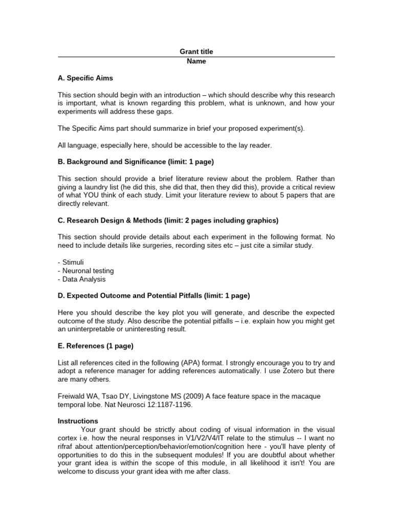 Grant Template | PDF | Visual Cortex | Psychology