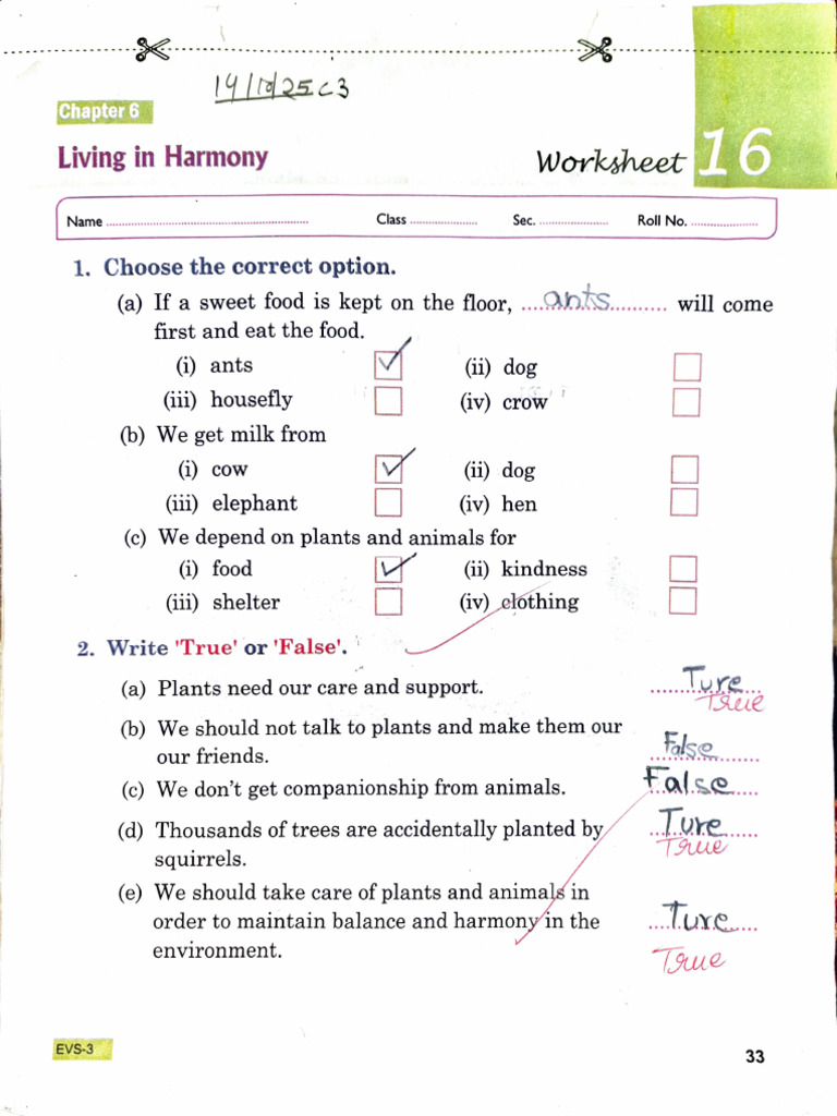 Worksheet Work EVS Class 3 Annual Exam | PDF
