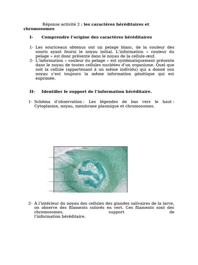 Correction Activité 2 | PDF