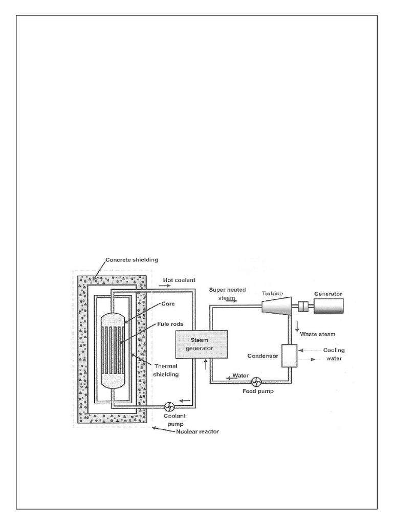 Nuclear Power Plant Layout | PDF | Nuclear Fuel | Nuclear Reactor