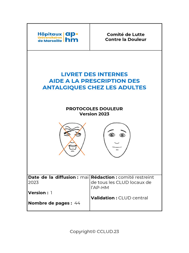 Livret Internes Prescription Antalgiques Adultes | PDF | Douleur ...