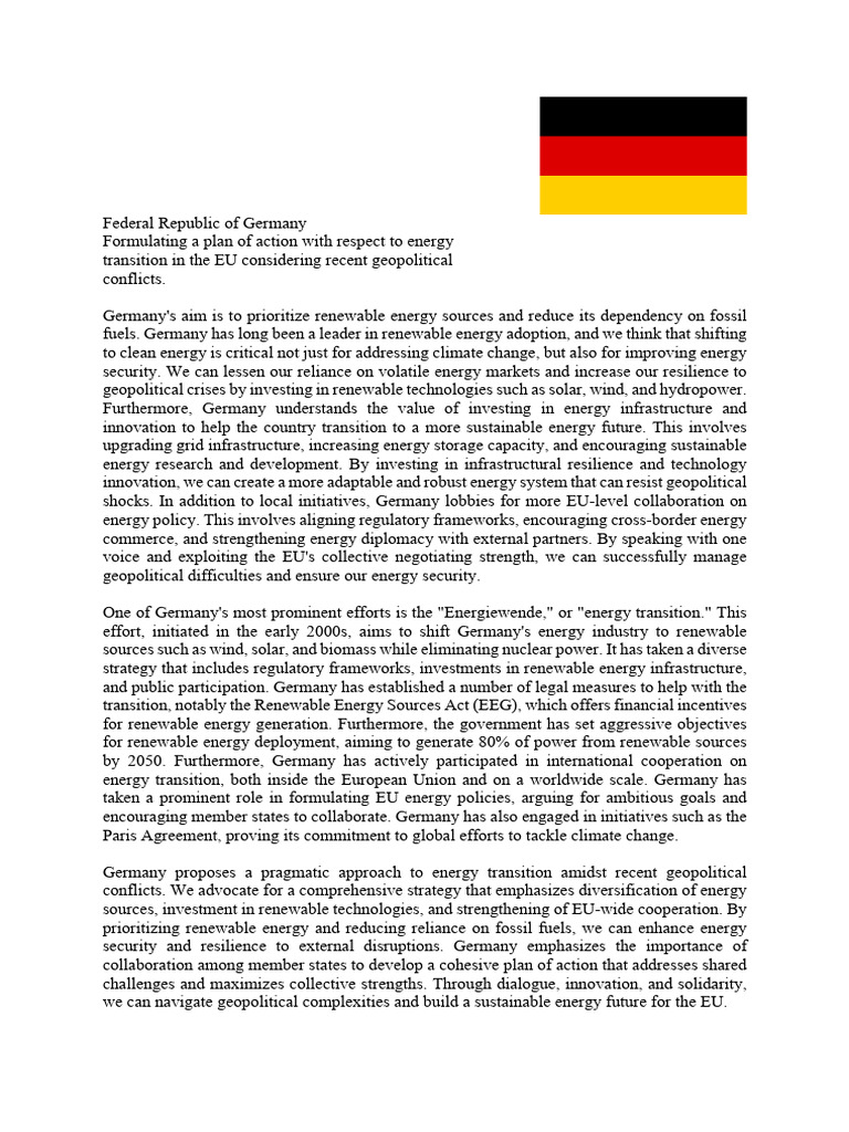 Position Paper Germany | PDF | Renewable Energy | Energy Development