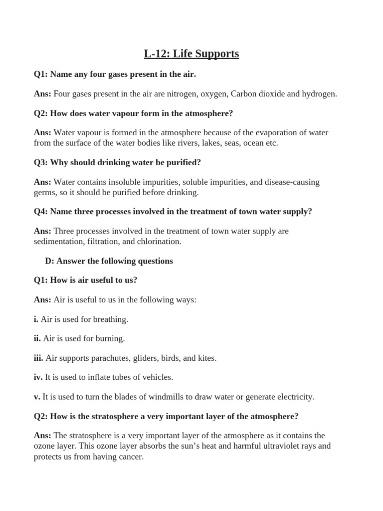 Life Supports | PDF