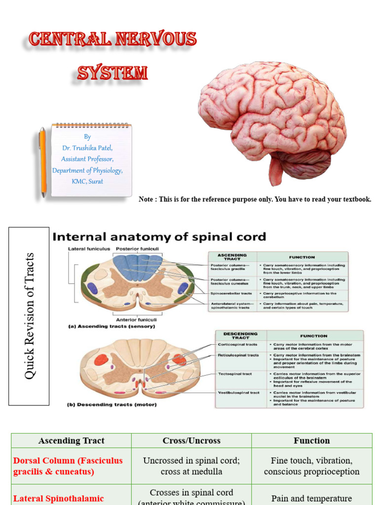 CNS - Spinal Cord Injury | PDF | Spinal Cord | Spinal Cord Injury