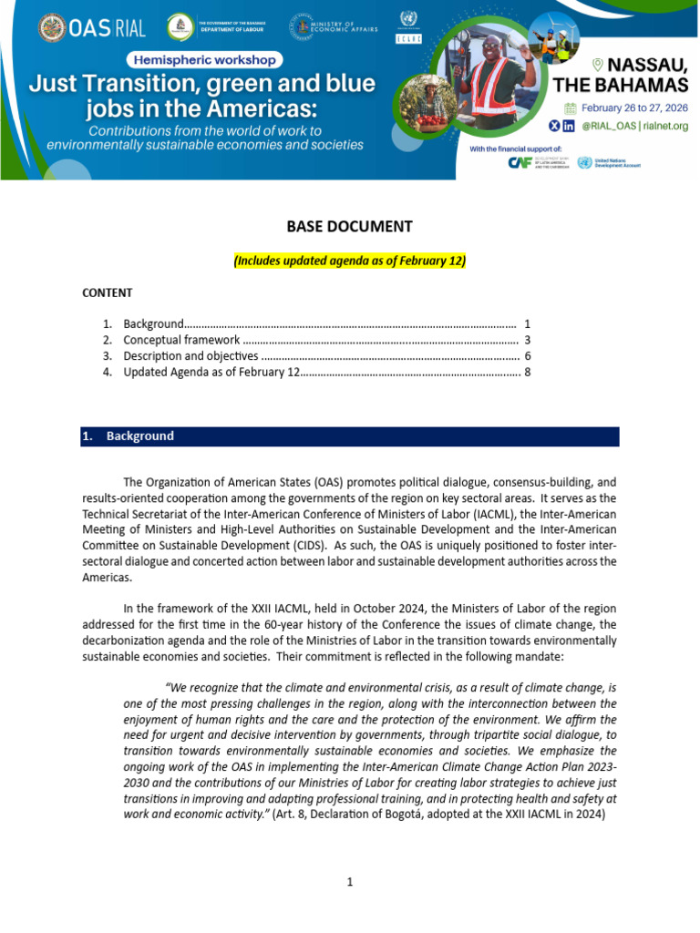 BaseDoc UpdatedAgendaFeb12 OAS-RIAL BahamasWorkshop | PDF ...