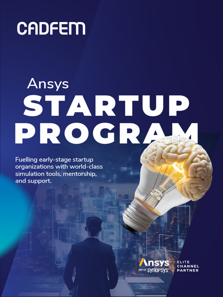 Ansys Startup Brochure - Digital | PDF