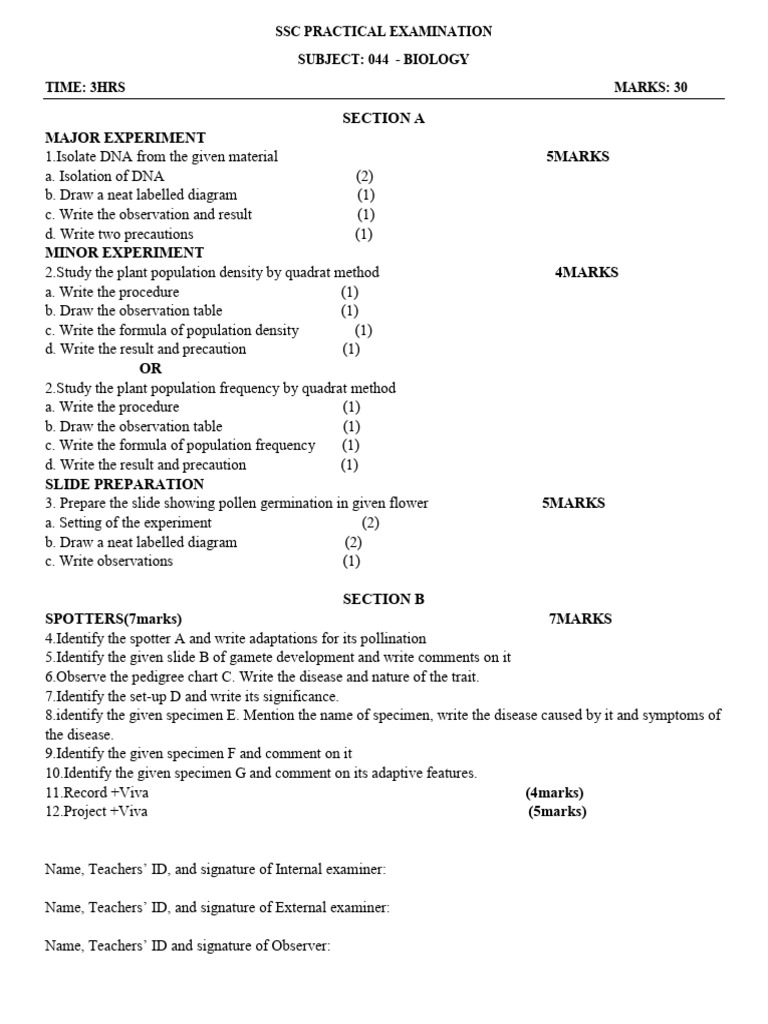 Nithya Org | PDF