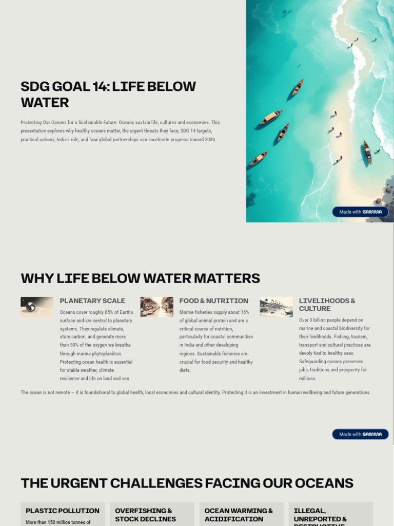 SDG Goal 14 Life Below Water | PDF | Oceans | Sustainability
