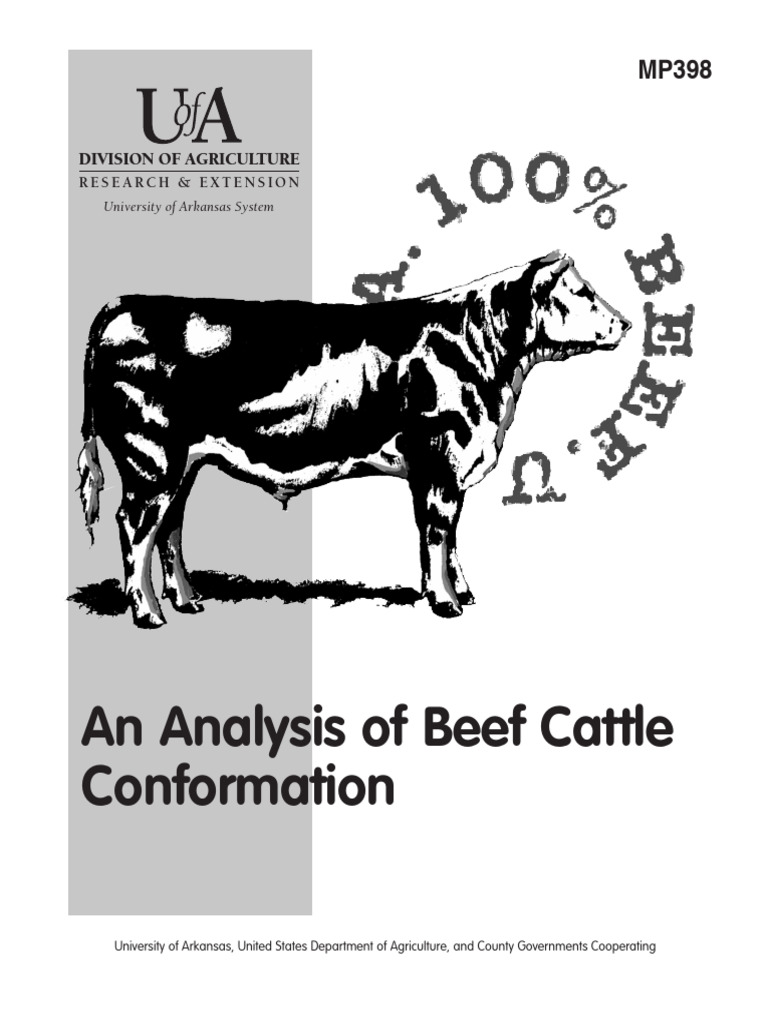 An Analysis of Beef Cattle Conformation | PDF | Bull | Selective Breeding