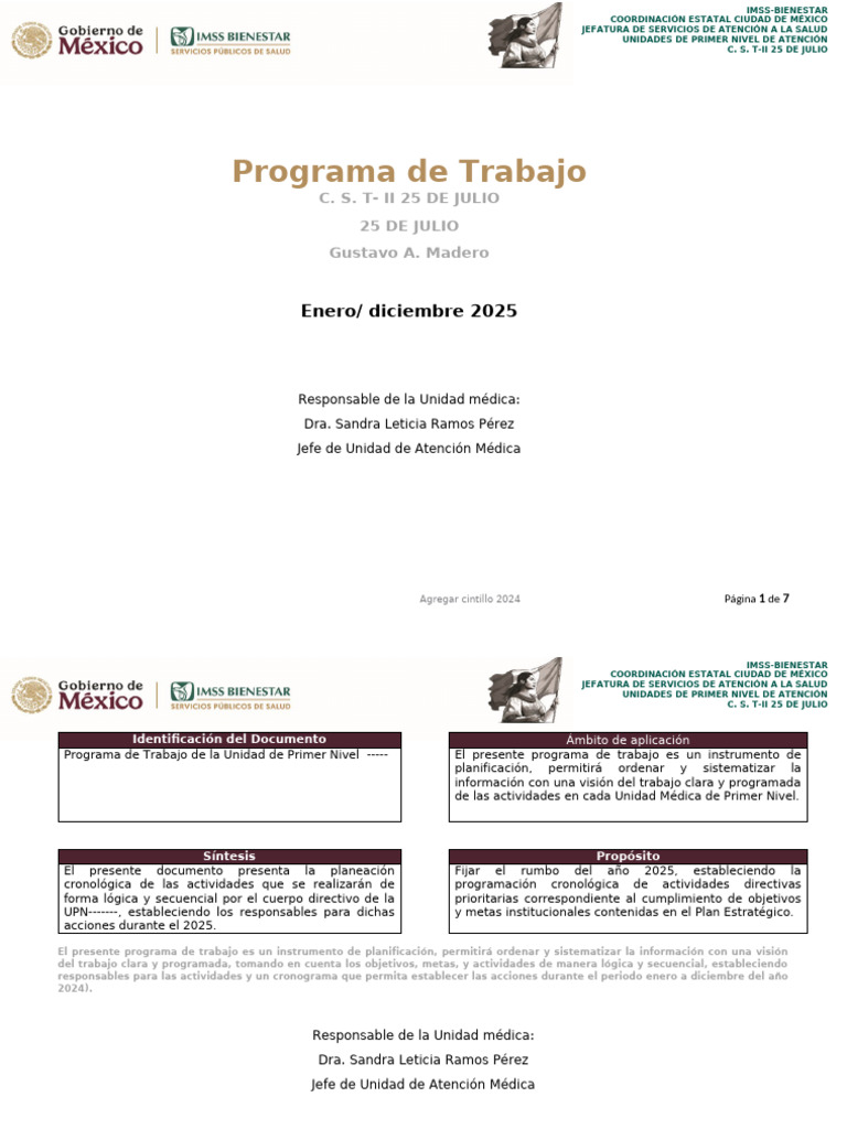 Formato Programa de Trabajo 2025 | PDF | Planificación