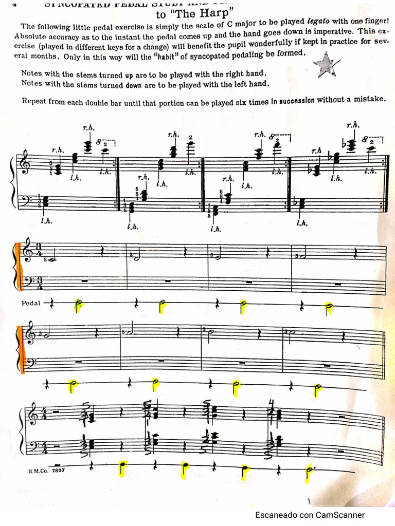 The harp | PDF