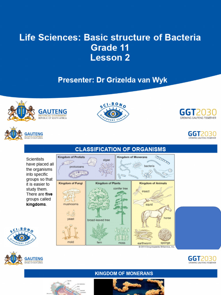 Life Sciences Gr.11 Lesson 2 Basic Structure of Bacteria | PDF ...