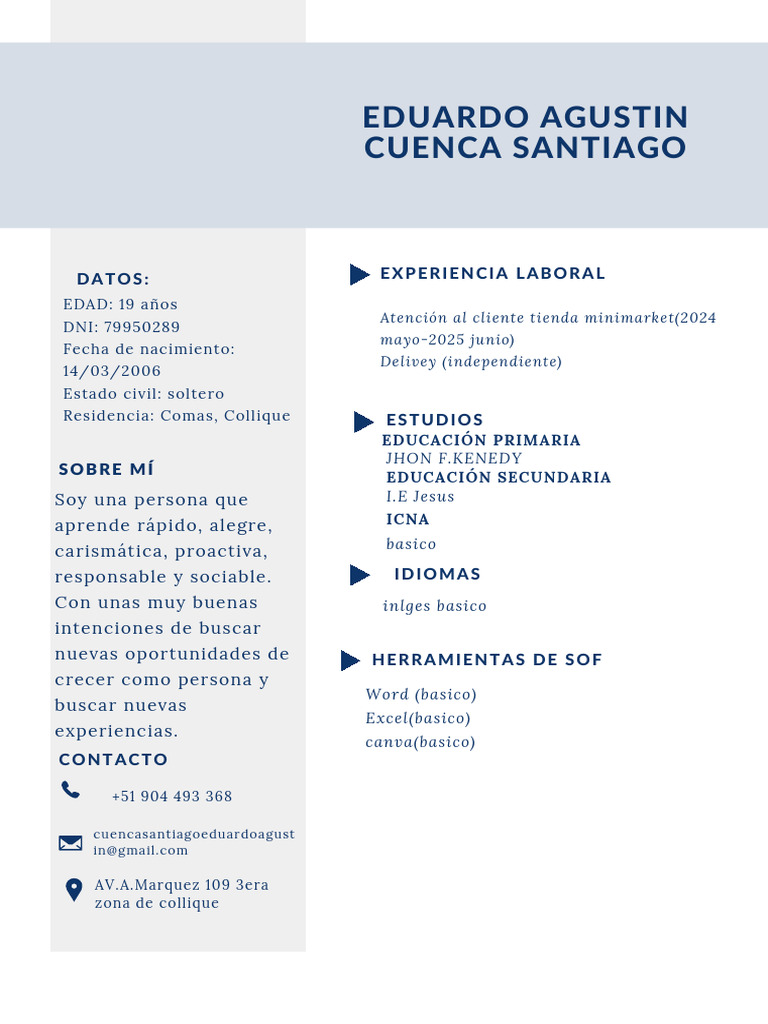 Cv formal (1) | PDF