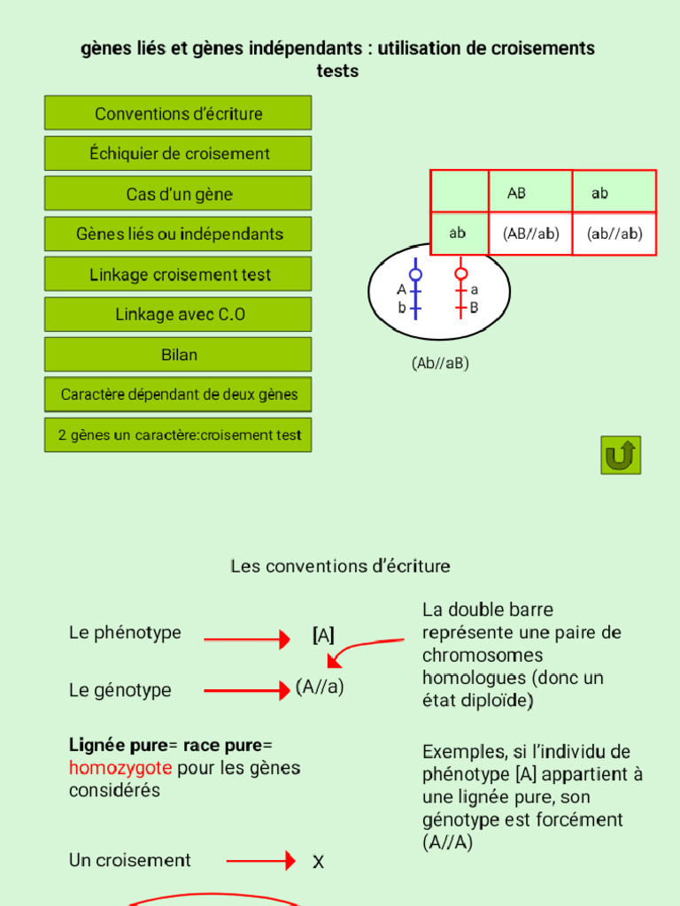 Cross Test PPT Phoenix | PDF