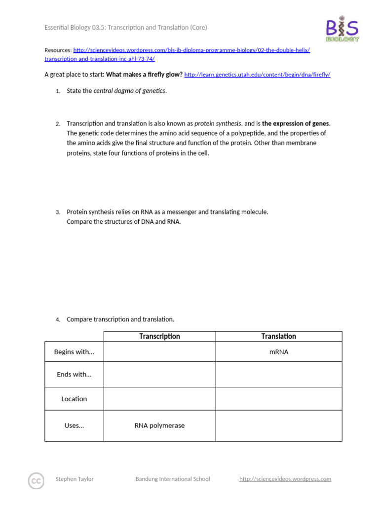 Essential Biology 3.5 Transcription and Translation (Core) | PDF ...