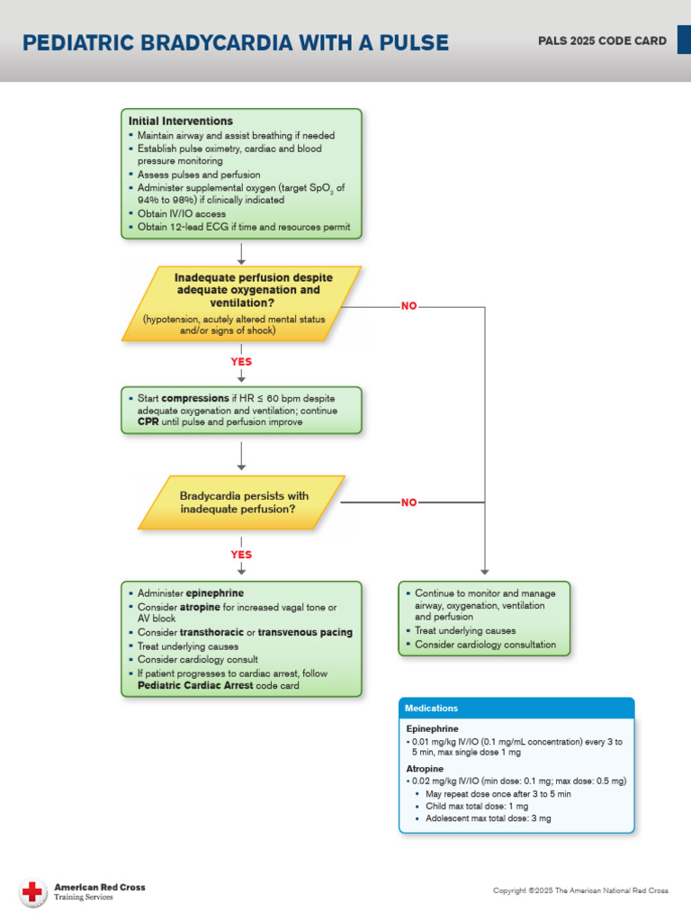 PALS Pediatric Bradycardia | PDF | Cardiovascular System | Cardiac ...