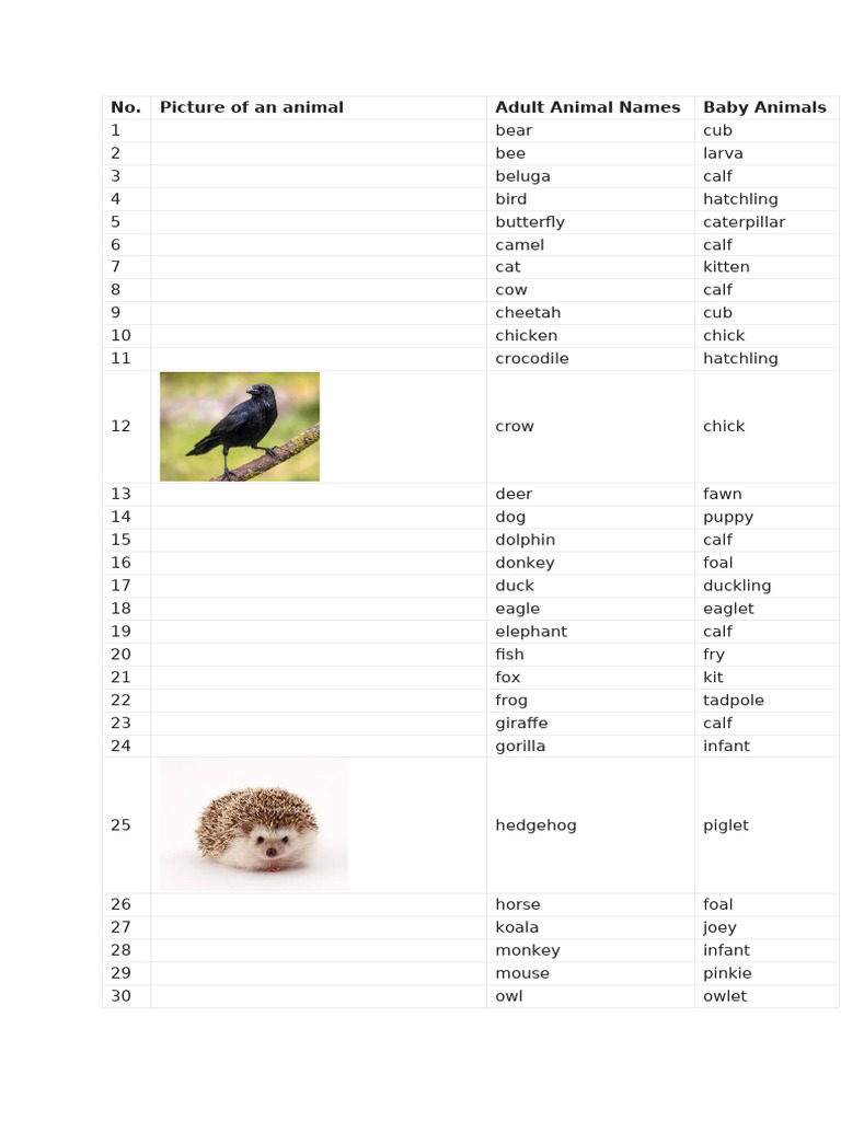 Animals Babies | PDF | Zoology