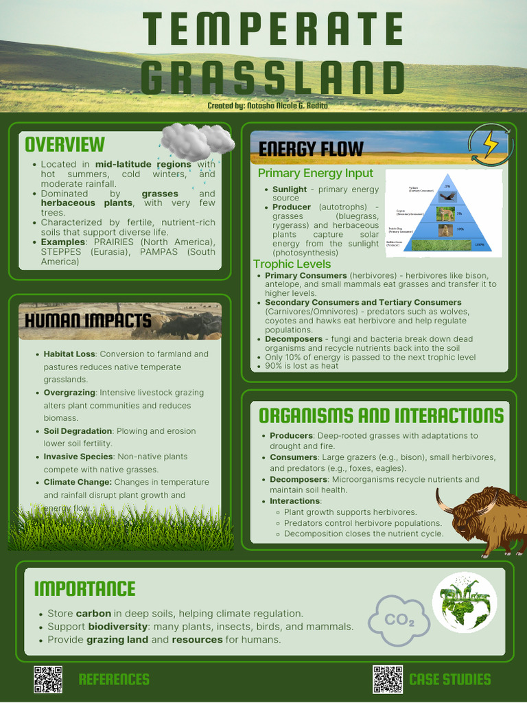 Terrestial Ecosystem | PDF | Grassland | Grazing