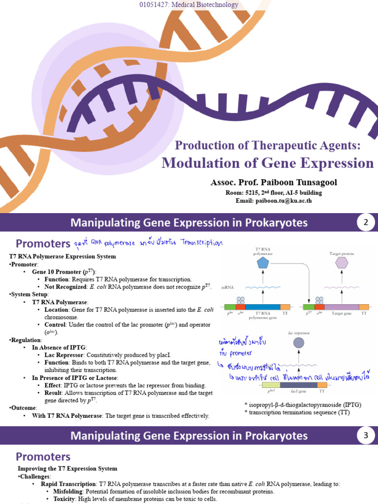 Topic 4.1 Modulation of Gene Expression | PDF | Vector (Molecular ...