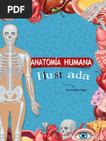 Esquema Completo de Anatomía Humana | PDF