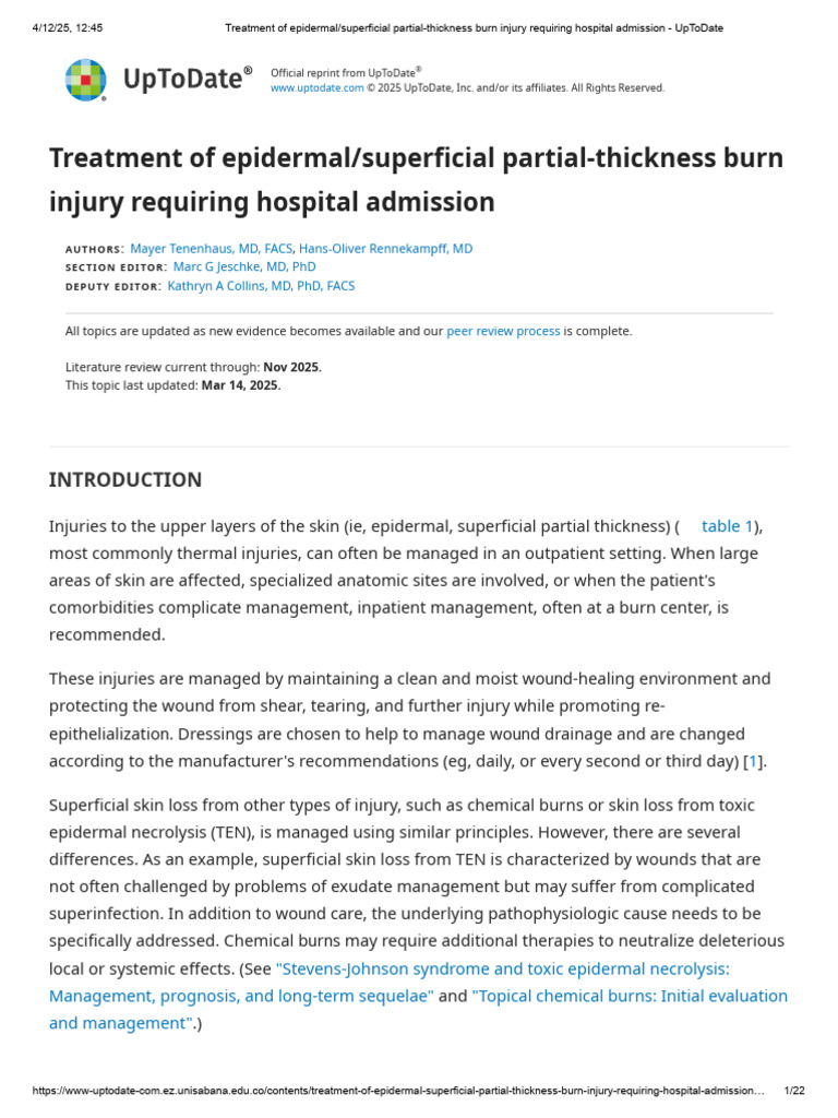 Treatment of Epidermal - Superficial Partial-Thickness Burn Injury ...