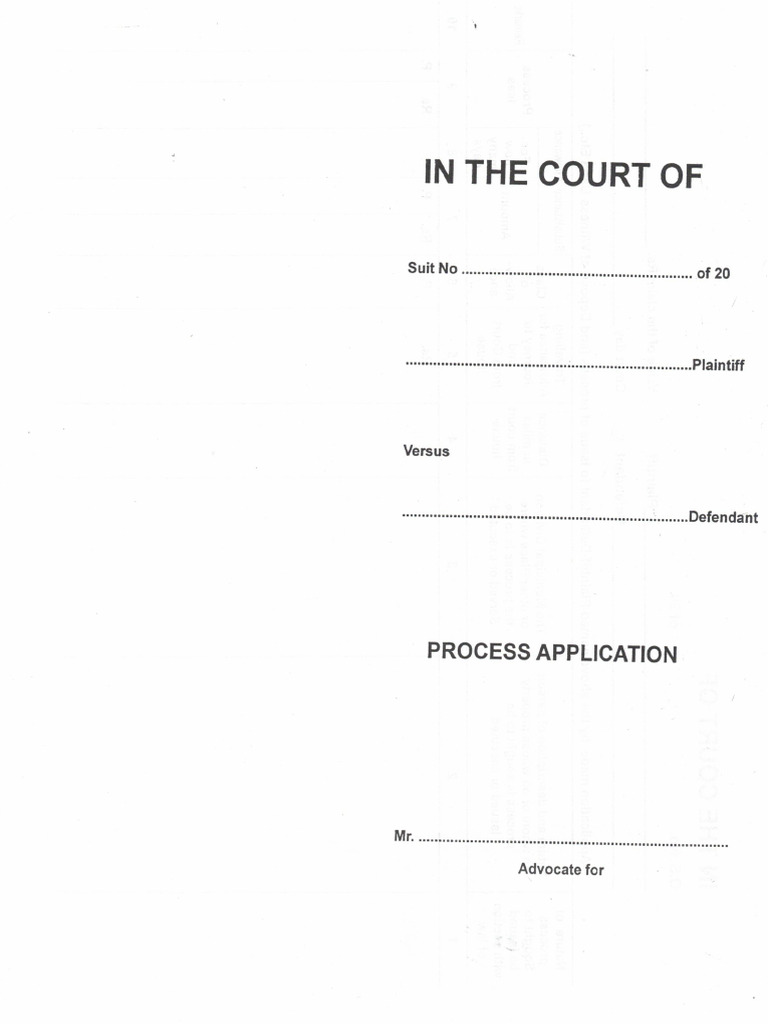 In The Court Process Application | PDF