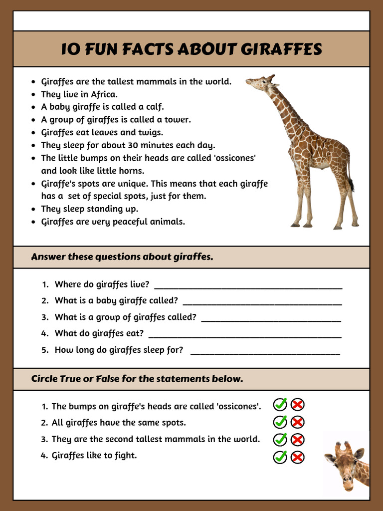 Brown and White Illustrated Giraffe Fun Facts English Reading ...