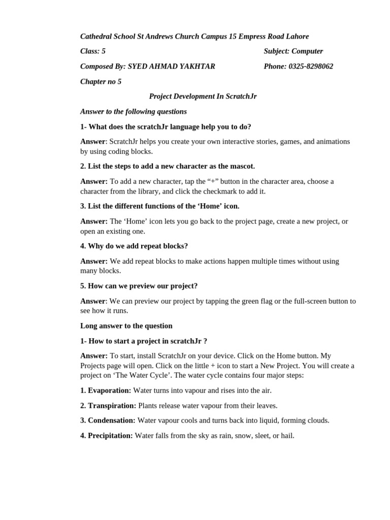 Class 5 Computer 3rd Term Complete Notes | PDF