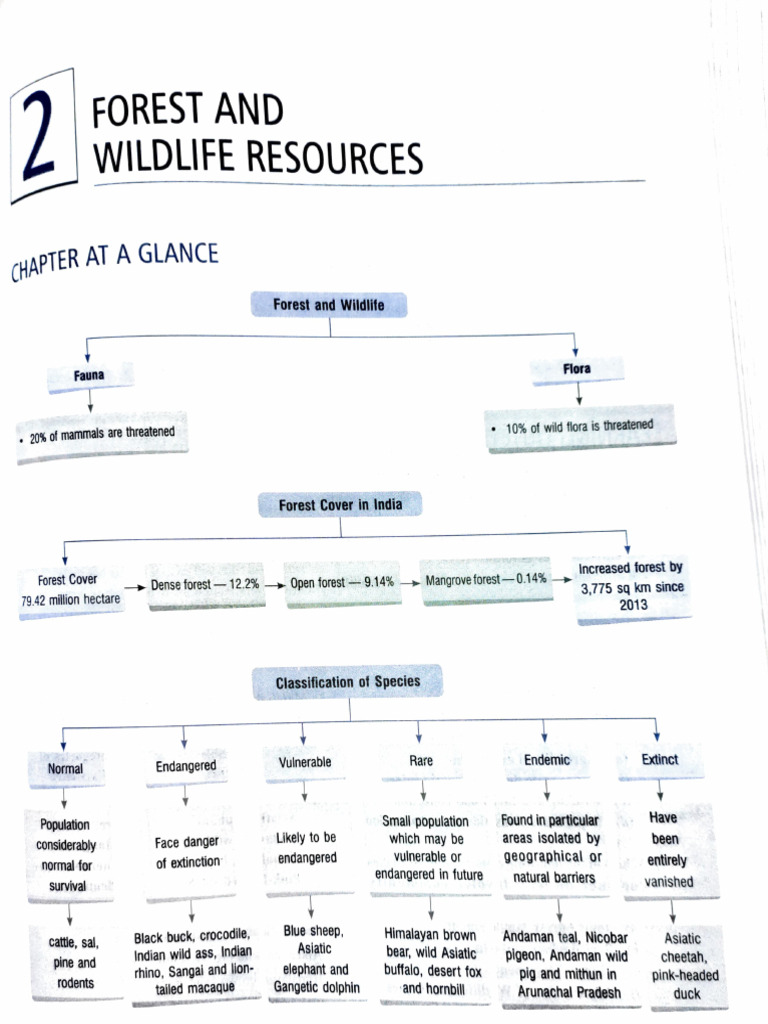 Forest and Wildlife Resources | PDF | Organisms | Natural Environment