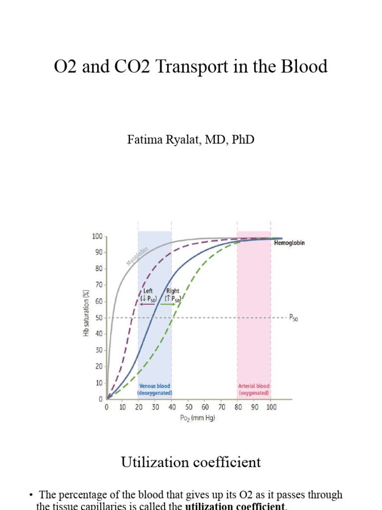 7-O2-CO2-Transport-in-blood | PDF | Hemoglobin | Blood