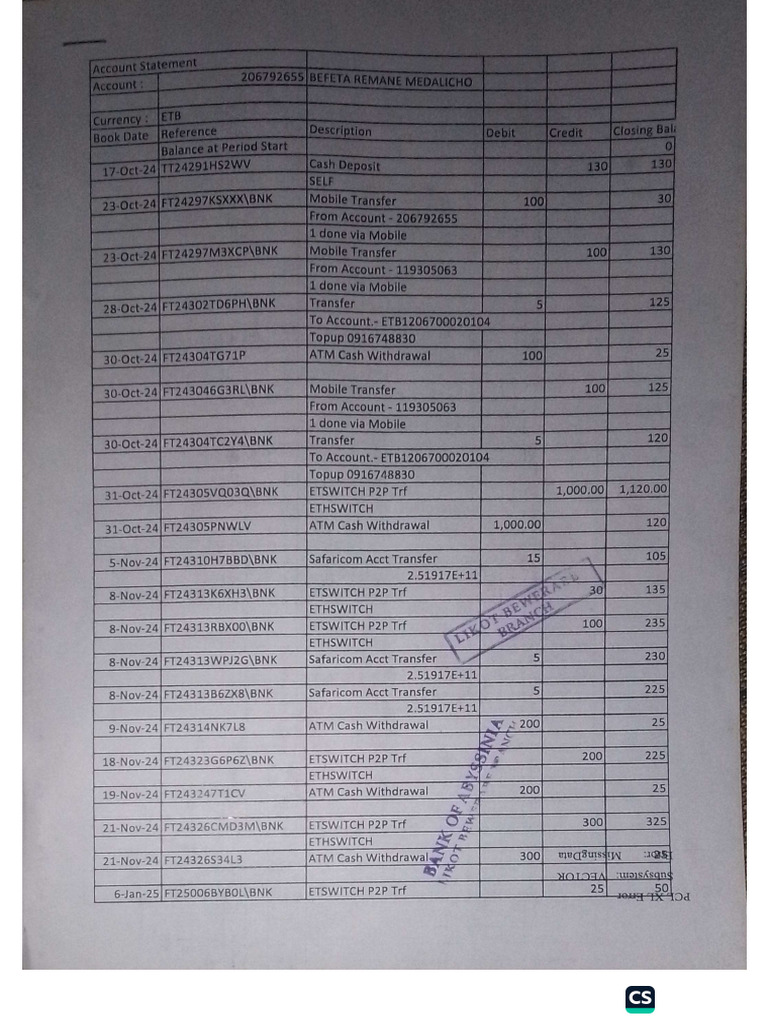 Financial Statement | PDF