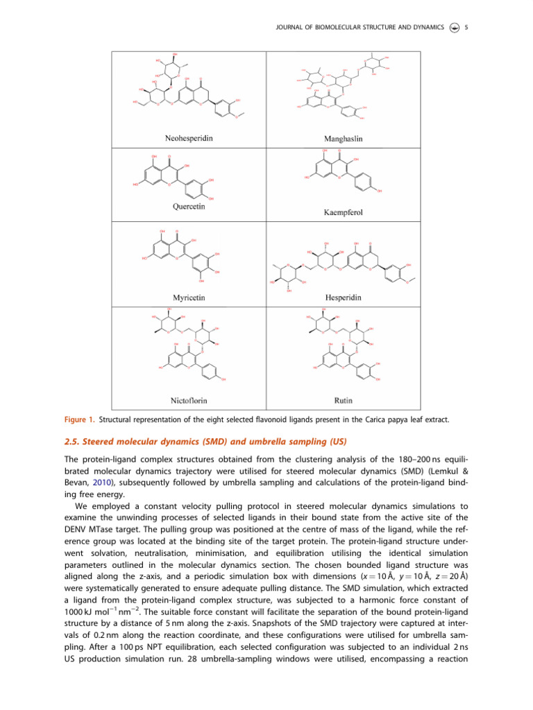 2.5. Steered Molecular Dynamics (SMD) and Umbrella Sampling (US) | PDF