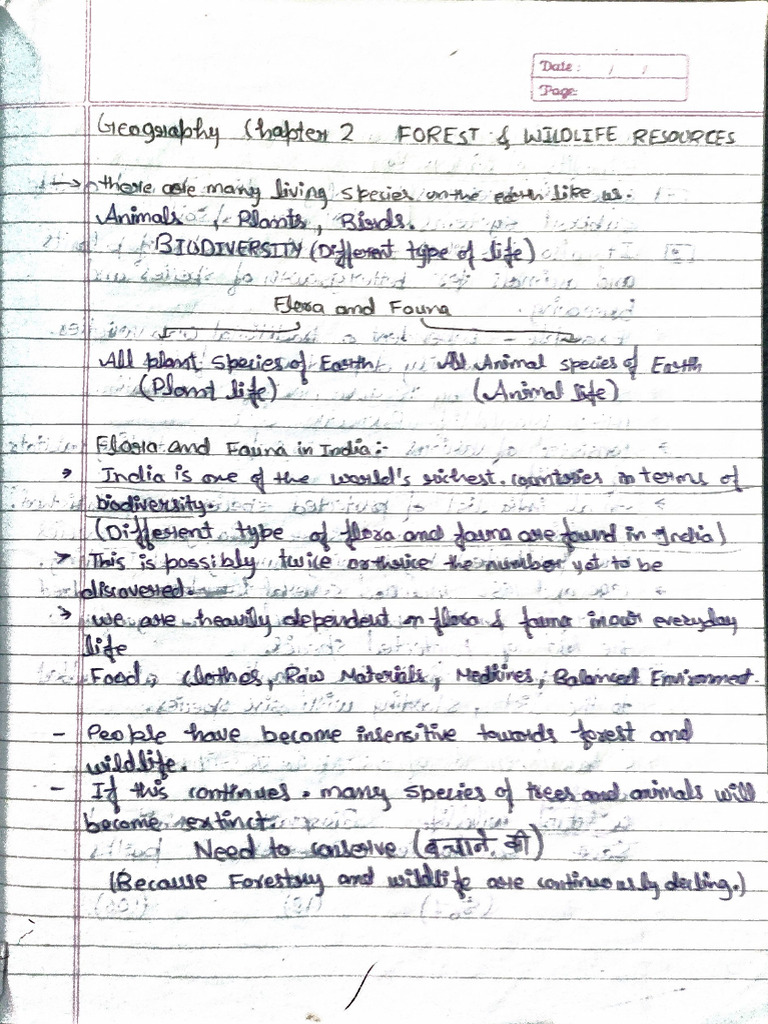 Forest and Wildlife Notes | PDF