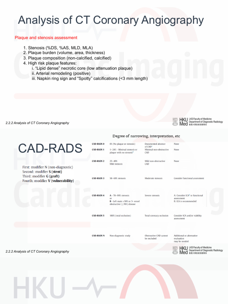 2.2.2 Analysis of CT Coronary Angiography - Notes | PDF