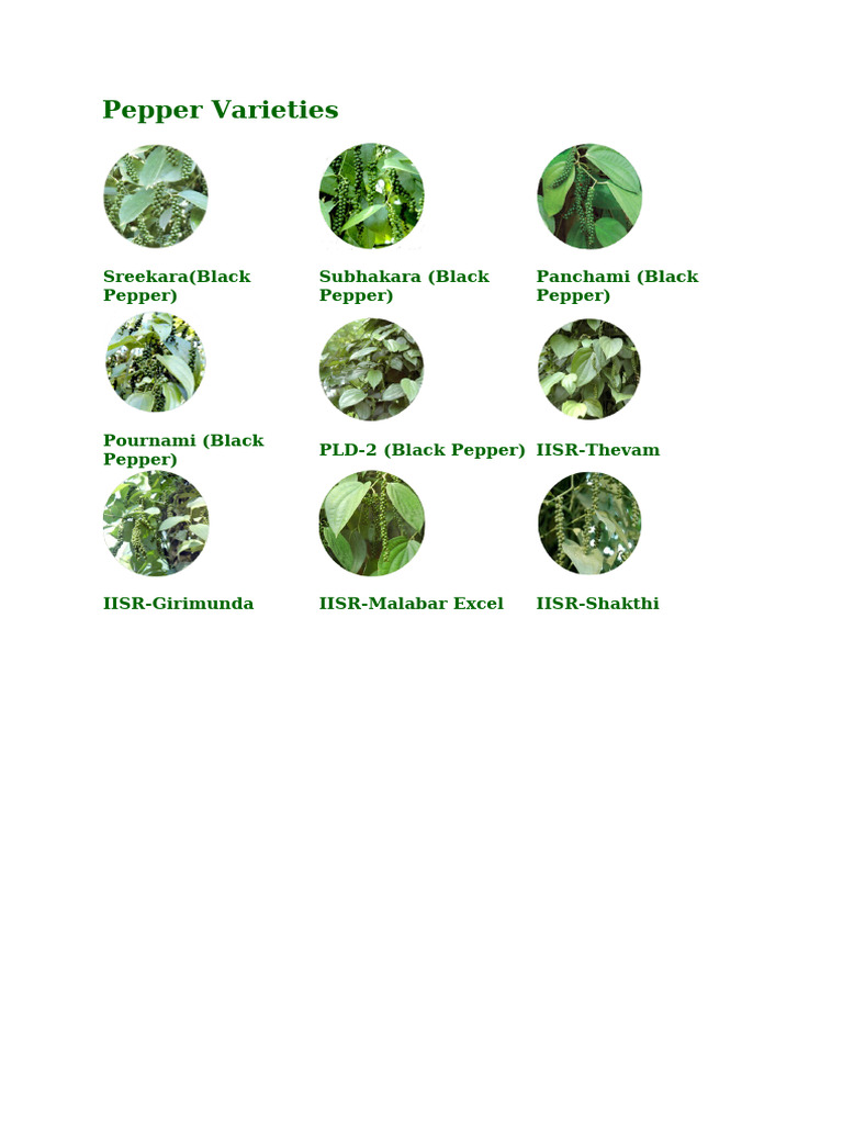 Varieties | PDF
