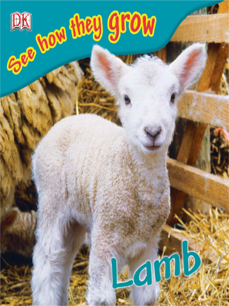 5 6266807646544724342 | PDF | Sheep | Livestock