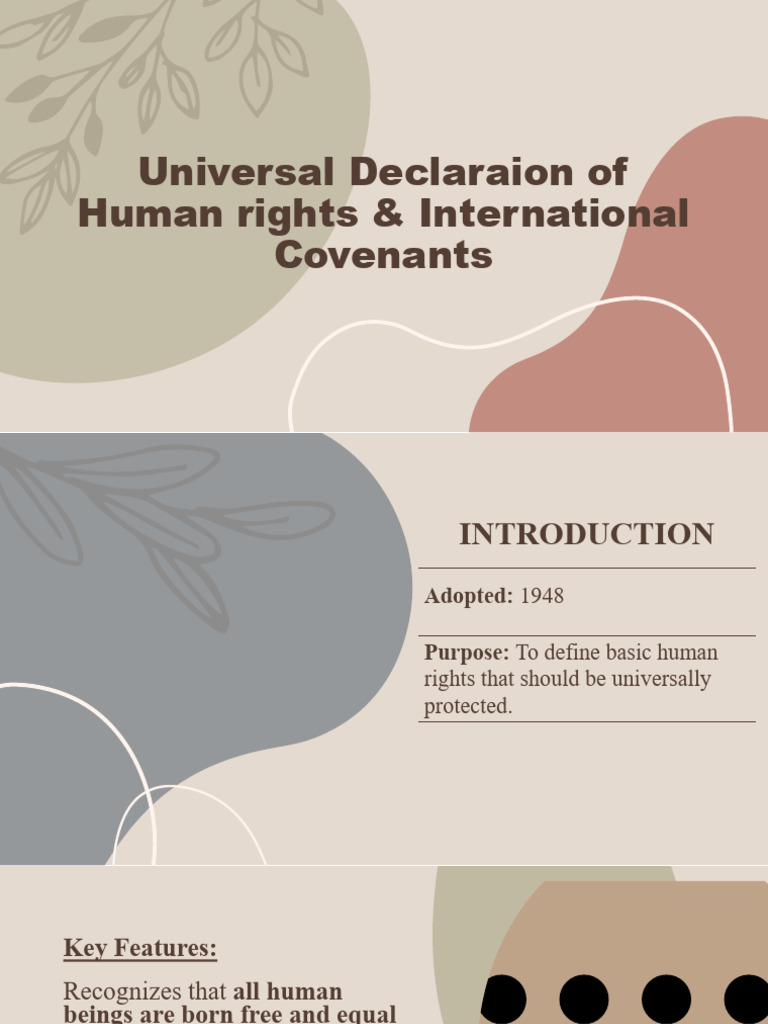 Universal Declaraion of Human Rights & International Covenants | PDF