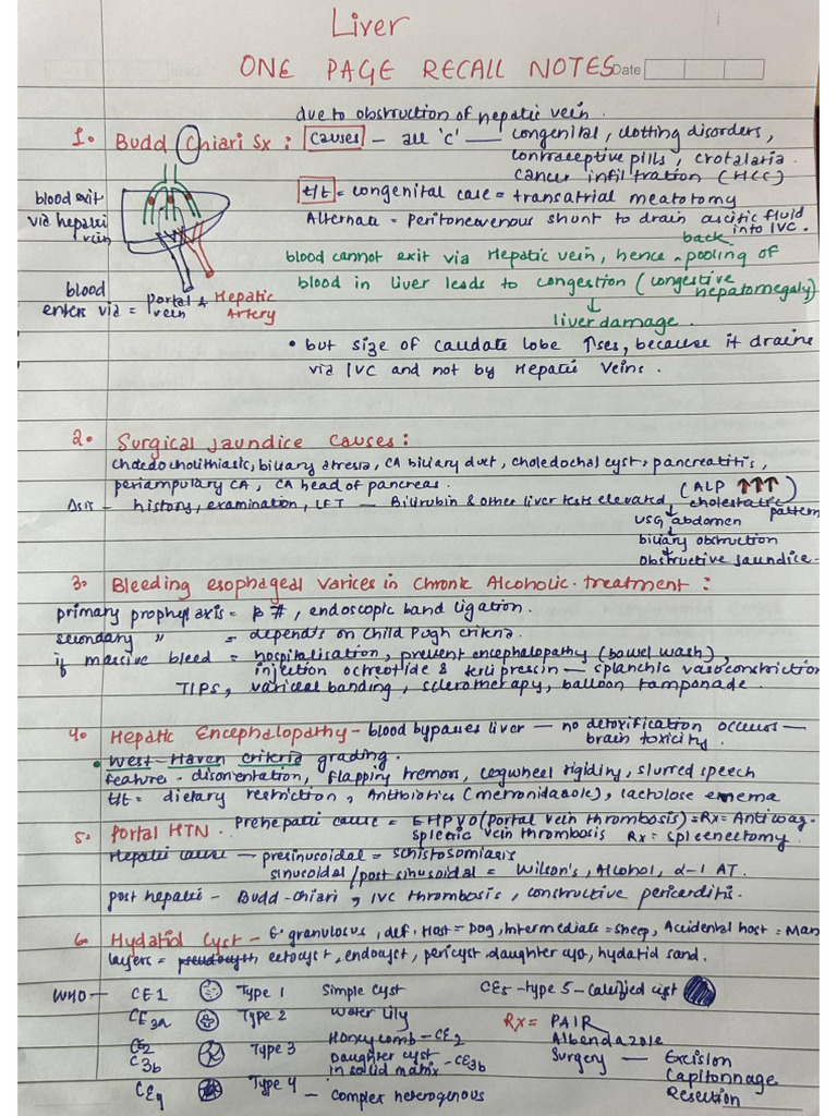 Liver Recall Notes (Med) | PDF