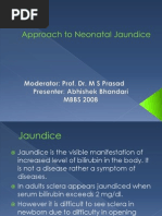 Approach to Neonatal Jaundice