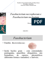 Fusobacterium Necrophorum e Fusobacterium Nucleatum