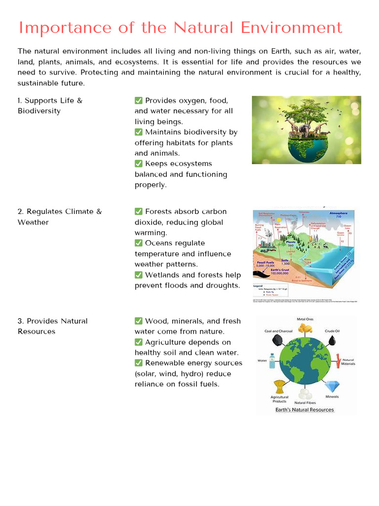 Importance of The Natural Environment | PDF | Ecosystem | Natural ...