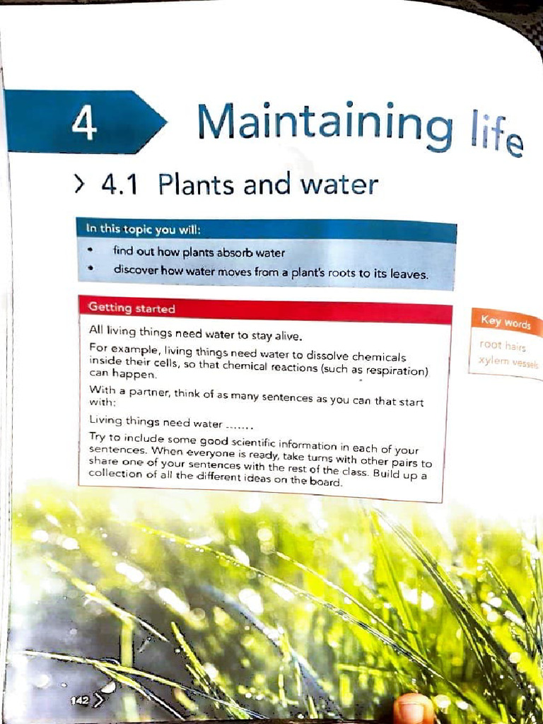 Maintaining Life | PDF