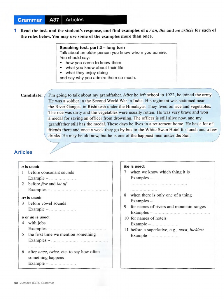 Grammar - Articles | PDF