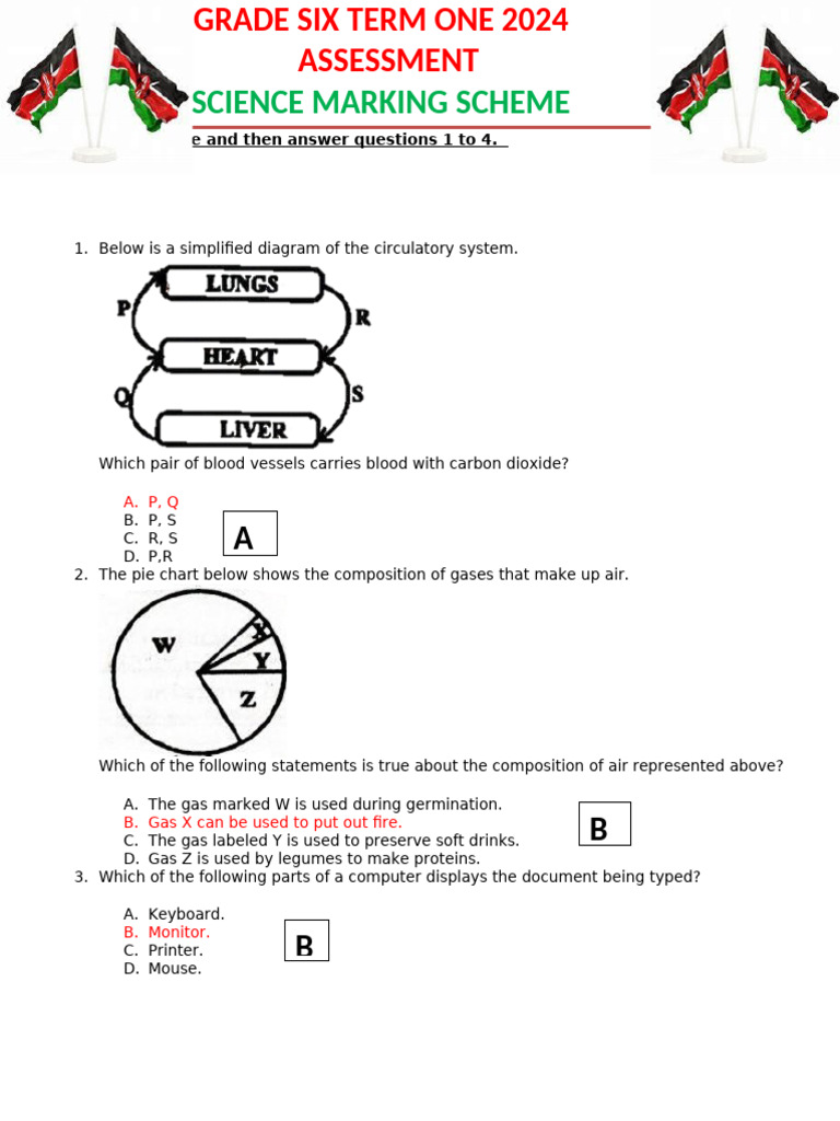 MS-Word-Grade 6 Science and Technology Term 1 Opener Exam 2024 | PDF
