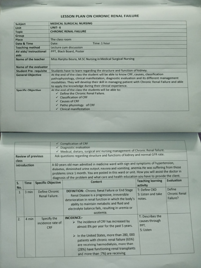 Lesson Plan (Model) | PDF