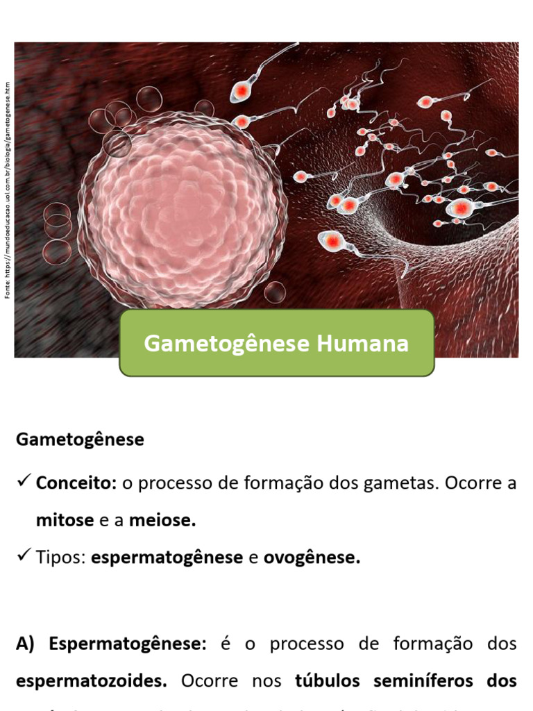 D2a97e05 Gametogenese. | PDF | Mamíferos individuais | Sexo