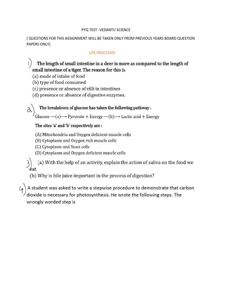 PYQ TEST - Life Processes | PDF | Respiratory System | Nutrition