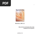 Chico Xavier - Livro 305 - Ano 1988 - Roseiral de Luz